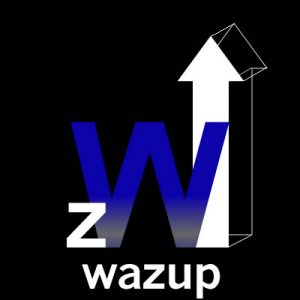 wazup.us.com.3d.logo